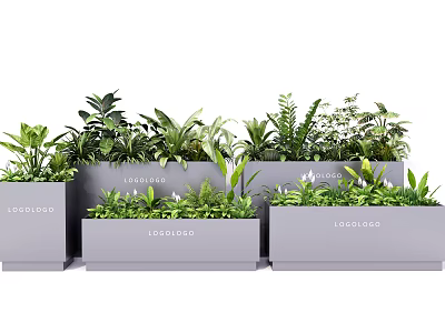 Gray Rectangular Planters with Various Green Plants Featuring Logo Design 3d model