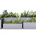 Gray Rectangular Planters with Various Green Plants Featuring Logo Design 3d model