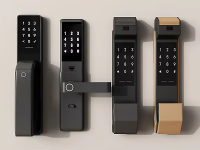 Smart Door Locks With Keypad In Different Modern Black And Brown Designs 3d model