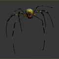 Yellow and Black Striped Spider With Long Legs And White Body On Gray Background