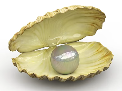 Aquatic Animal Oyster Shell Open With Natural Iridescent Pearl Inside 3d model