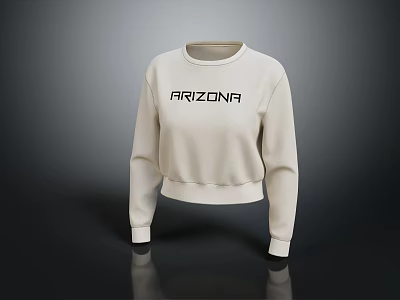 Beige Long Sleeve Cropped Sweater With ARIZONA Lettering Design For Casual Wear 3d model