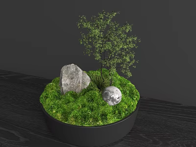 Bonsai Plant with Green Moss Small Tree Stone and Round Ball on Wooden Table 3d model