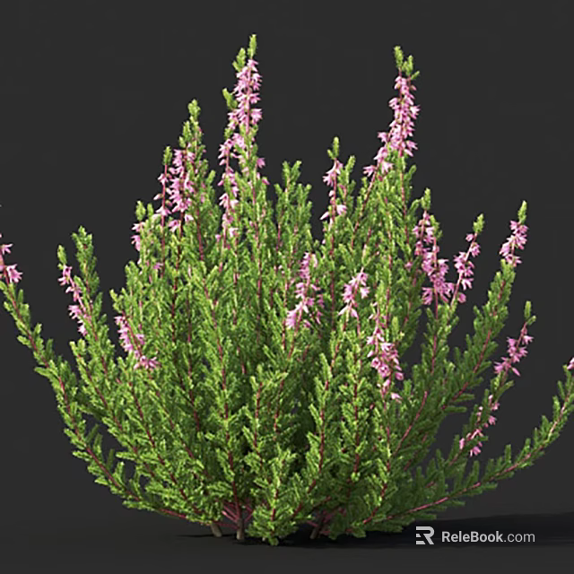Lush Green Shrub With Purple Flowers And Dense Foliage Outdoors 3d model 
