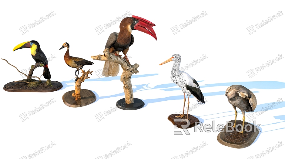 Flying animals birds birds animal combination model