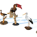Various Flying Animal Models Including Toucan Duck And Stork On Decorative Stands