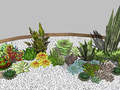 Various Types of Succulent Plants Growing in White Pebbles with Wooden Border 3d model