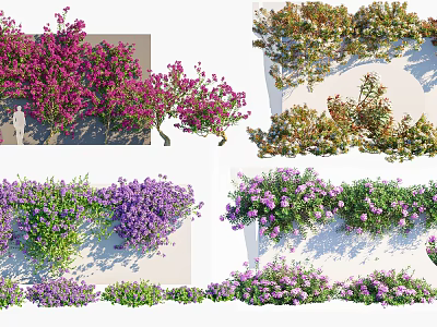Colorful Flowering Vines on White Wall with Lush Foliage and Purple Pink Blooms 3d model