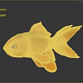 Orange Goldfish With Shiny Scales And Flowing Fins On Black Surface