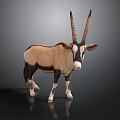 Oryx with Long Curved Horns and Tan White Coat Standing on Black Background