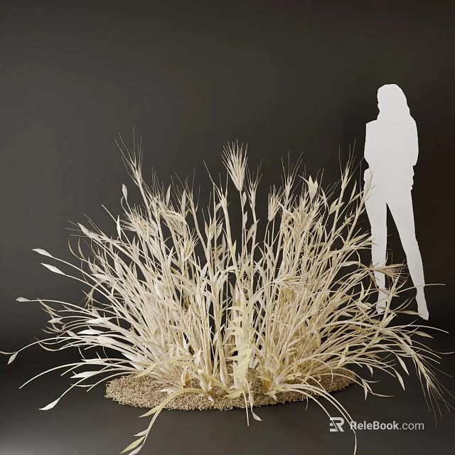 Dried Grasses Decorative Arrangement With Silhouette Figure Against Dark Background 3d model 