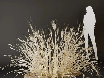 Dried Grasses Decorative Arrangement With Silhouette Figure Against Dark Background 3d model