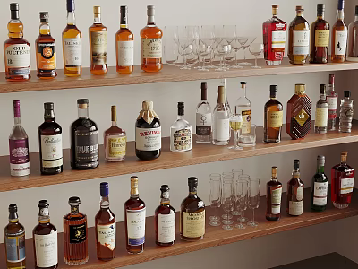 Elegant Wine Bottles and Glasses Collection on Wooden Shelves with Different Liquor Types 3d model