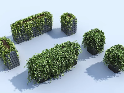 Lush Green Vines Growing in Black Planters of Various Shapes for Garden Decor 3d model