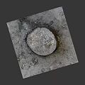 Natural Wooden Stump Placed on Square Stone Slab with Small Stones and Plants