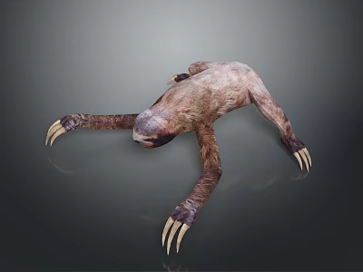 Sloth Game Character With Extended Limbs Long Claws And Brown Fur 3d model