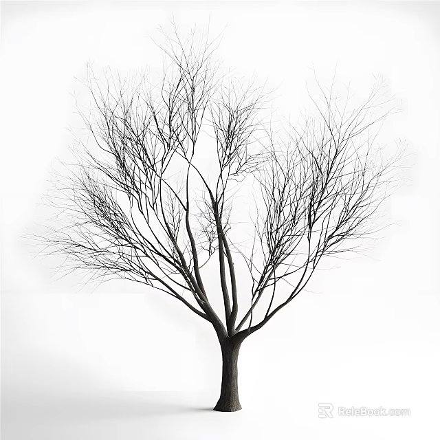 Bare Leafless Tree With Intricate Branch Structure Isolated On White Background 3d model 