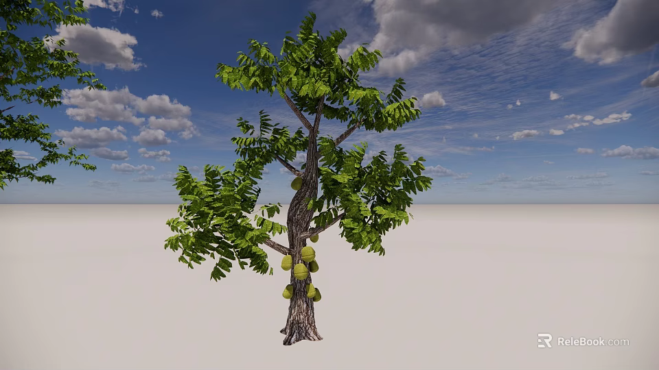 Lush Green Tree With Thick Trunk Large Fruits And Green Leaves Against Blue Sky 3d model 