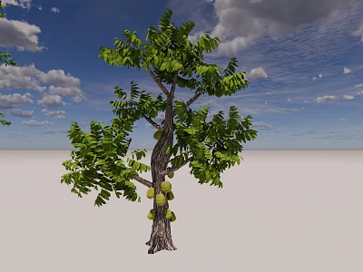 Lush Green Tree With Thick Trunk Large Fruits And Green Leaves Against Blue Sky 3d model