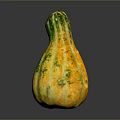Ripe Fresh Organic Yellow Green Speckled Pumpkin With Unique Curved Shape