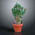 Healthy Green Cactus Plant Growing in Orange Clay Pot on Gray Background