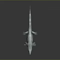 Realistic 3D Rendered Gray Lizard With Detailed Textured Skin On Dark Background