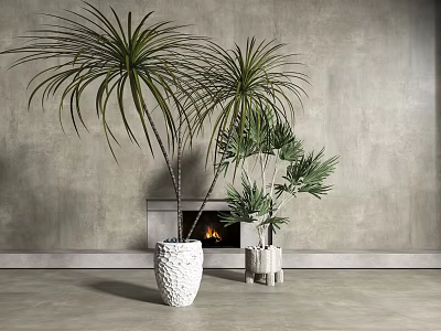 Modern potted potted potted plant combination 3d model