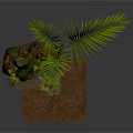 Lush Palm Plant with Tree Trunk Small Green Plants Moss and Brown Ground Cover