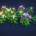 Lush Flowering Plants With Colorful Blooms And Green Leaves Against Dark Background