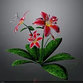 Stunning Red And White Lilies With Green Leaves And Multiple Fresh Blooms