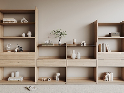 Nordic Bookcase model