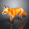 Orange Fox With Pointed Ears And Busky Tail Standing Against Dark Background With Reflection