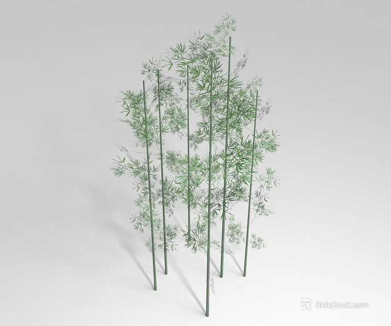 Tall Green Bamboo Plants With Lush Leaves And Slender Stalks For Garden Landscaping 3d model 