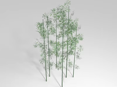 Tall Green Bamboo Plants With Lush Leaves And Slender Stalks For Garden Landscaping 3d model