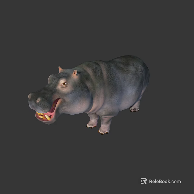 Wild Hippopotamus In Natural Habitat With Open Mouth And Sharp Fangs 3d model 
