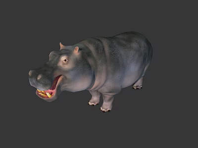 Wild Hippopotamus In Natural Habitat With Open Mouth And Sharp Fangs 3d model