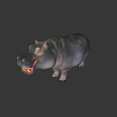Modern Hippo 3d model Modern Hippo 3d model