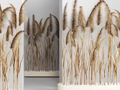 Brown Feathery Grass Potted Plant In White Ceramic Pot For Indoor Decoration 3d model