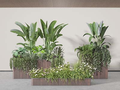 Green Plant Flower Box Indoor Plant Landscaping Plant Combination Plant Pile Flower Pond Flower Beds model