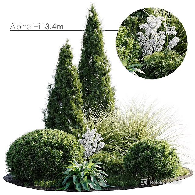 Park Landscape with Alpine Hill 3.4m Coniferous Trees Rounded Shrubs White Flowers and Grasses 3d model 