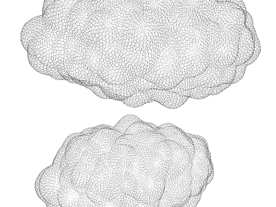 Two Detailed Wireframe Cloud Mesh Structures In 3D Digital Rendering Design 3d model