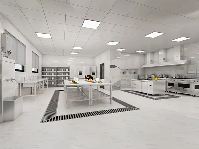 Modern Commercial Kitchen Interior With Stainless Steel Appliances White Cabinets And Ceiling Lights 3d model