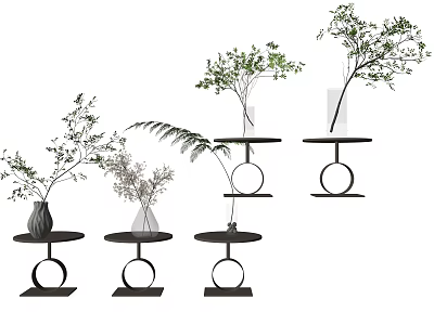 Stylish Decorative Vases With Green Plants On Black Circular Stands For Home Decor 3d model
