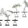 Stylish Decorative Vases With Green Plants On Black Circular Stands For Home Decor