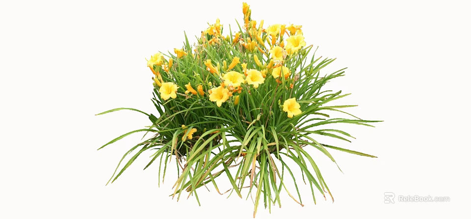 Vibrant Yellow Flowers With Lush Green Grass In Natural Cluster 3d model 