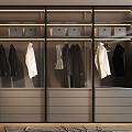 Glass wardrobe 3d model