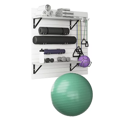 Sports Equipment Wall Rack with Black Mats Dumbbells Purple Medicine Ball and Green Exercise Ball 3d model