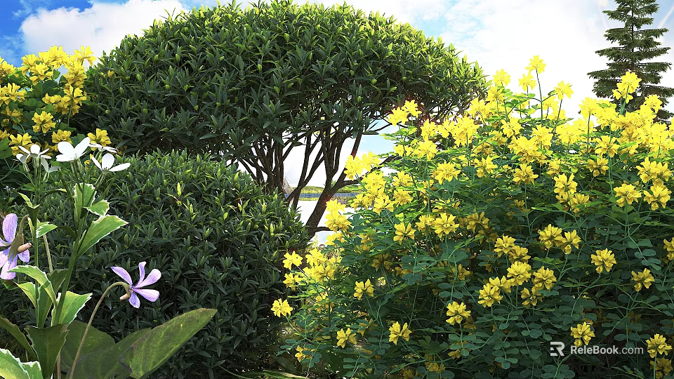 Lush Green Round Shrub In Garden Landscape With Vibrant Yellow Flowers And Fresh Foliage 3d model 