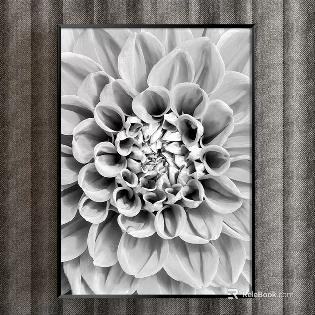 Black and White Dahlia Close Up Botanical Art With Black Frame On Gray Background Wall 3d model 