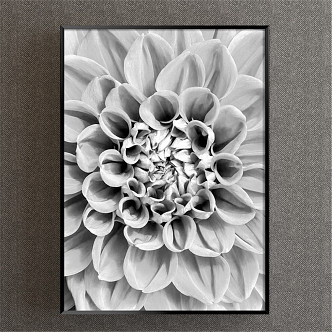 Modern Plant Painting Grey Study Plant Flower Meat Plant Decorative Painting 3d model